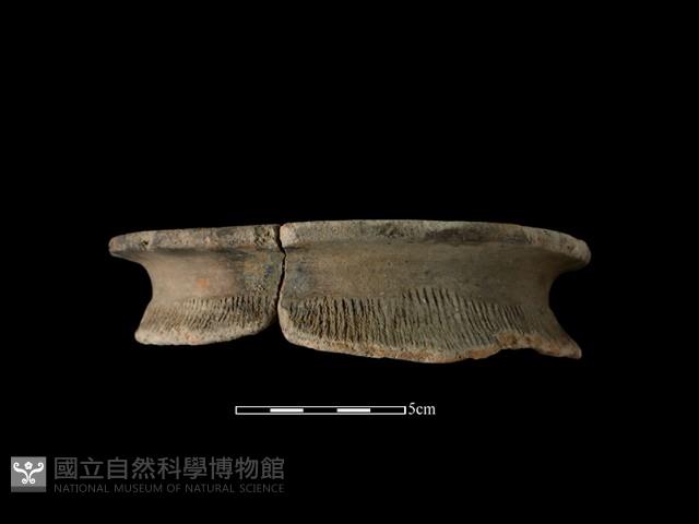 陶罐藏品圖，第2張