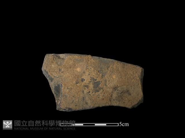 陶片藏品圖，第1張