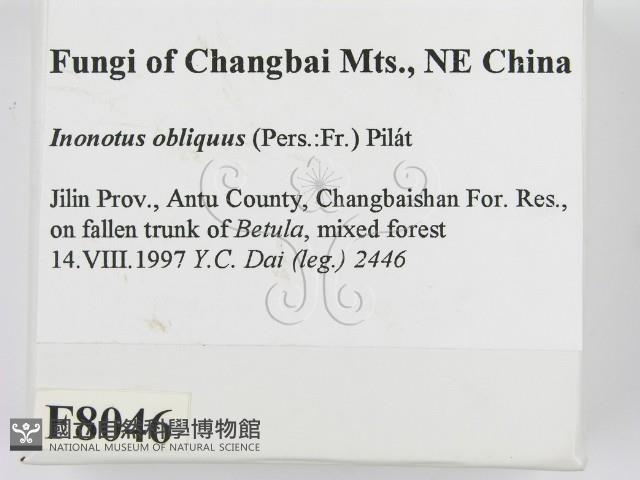 登錄號:F0008046藏品圖，第2張