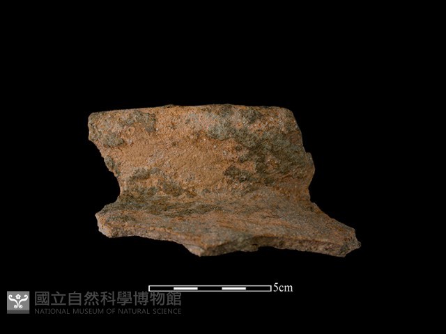 陶罐藏品圖，第2張
