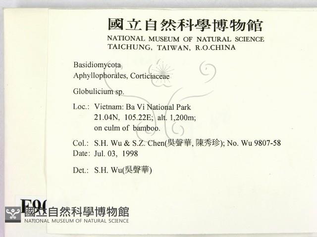 登錄號:F0009046藏品圖，第2張