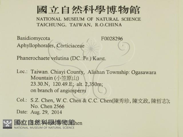 登錄號:F0028296藏品圖，第2張