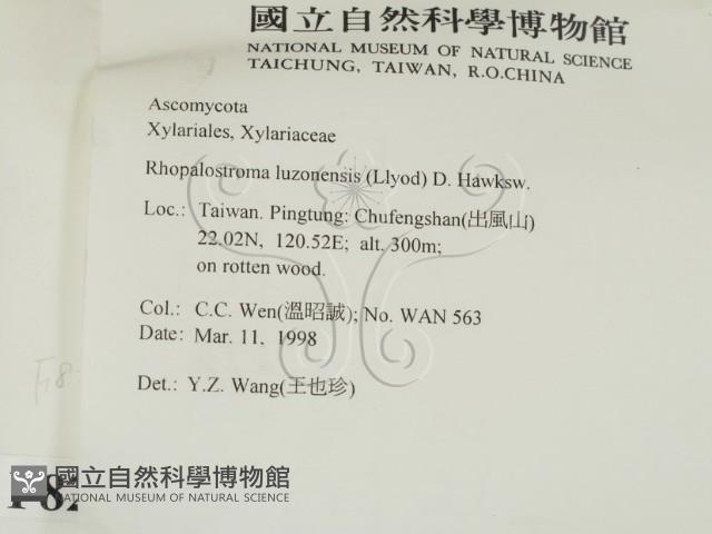 登錄號:F0008296藏品圖，第2張