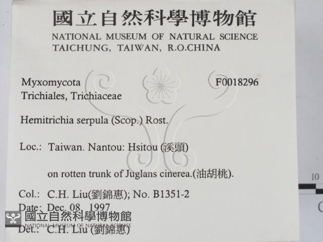 登錄號:F0018296藏品圖，第2張