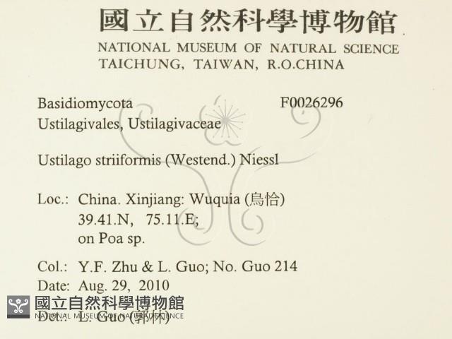 登錄號:F0026296藏品圖，第2張