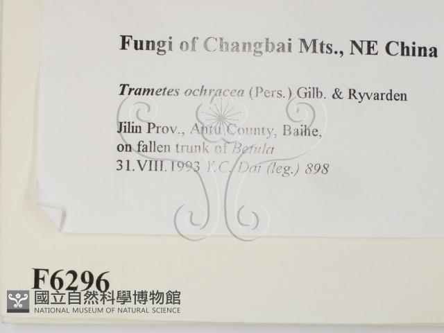 登錄號:F0006296藏品圖，第2張