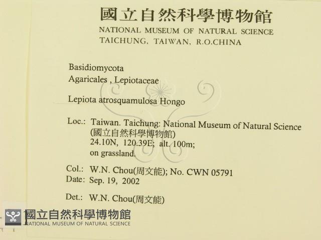 登錄號:F0016296藏品圖，第2張