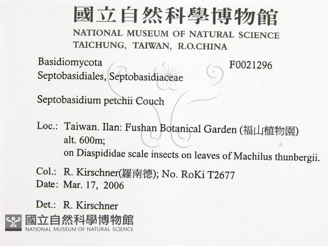 登錄號:F0021296藏品圖，第2張
