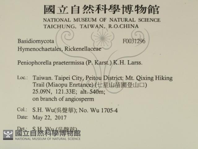 登錄號:F0031296藏品圖，第2張