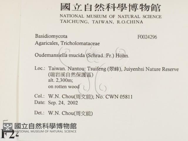 登錄號:F0024296藏品圖，第2張