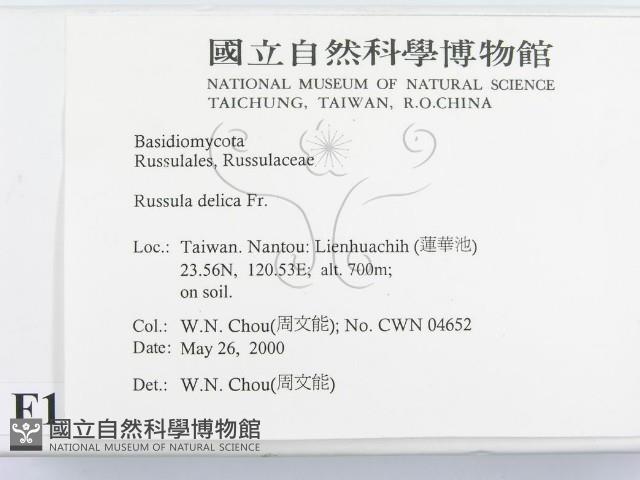 登錄號:F0014296藏品圖，第2張