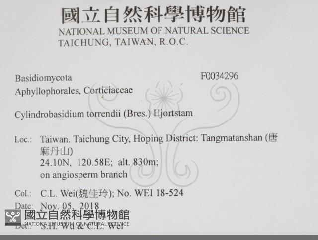 登錄號:F0034296藏品圖，第2張