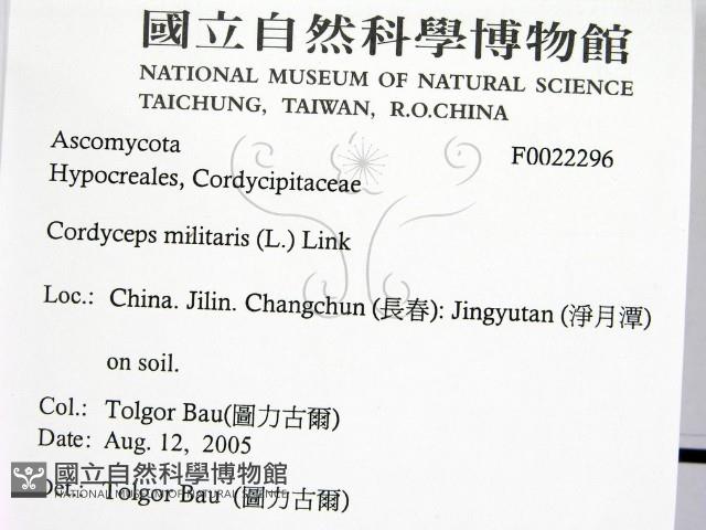 登錄號:F0022296藏品圖，第2張