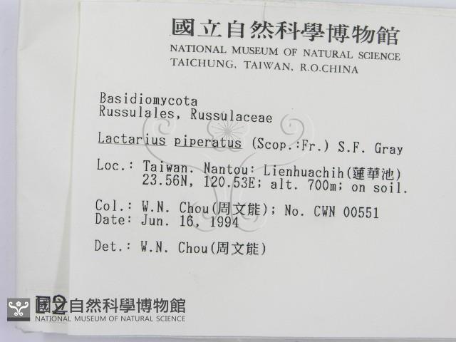 登錄號:F0002296藏品圖，第2張