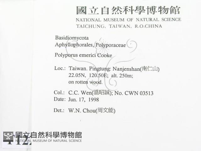 登錄號:F0012296藏品圖，第2張
