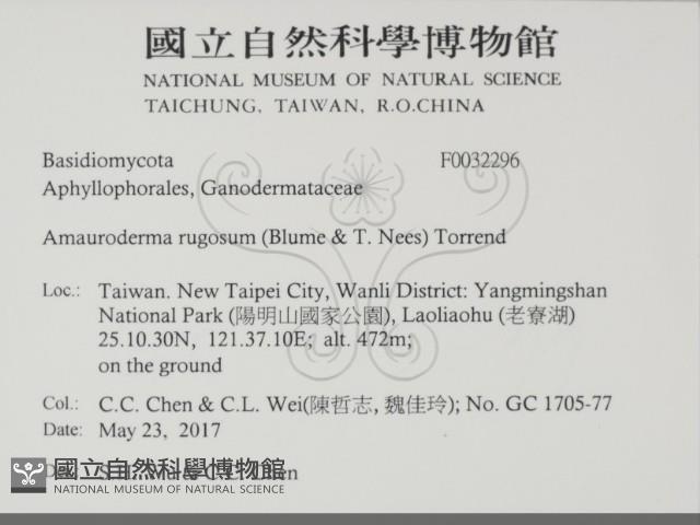 登錄號:F0032296藏品圖，第2張