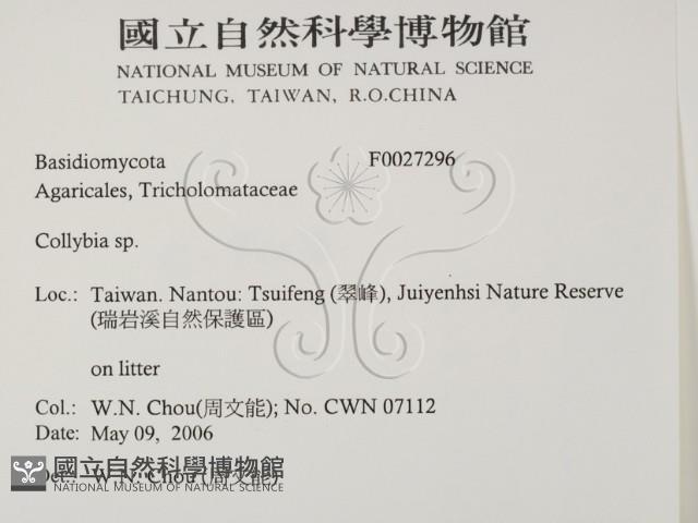 登錄號:F0027296藏品圖，第2張