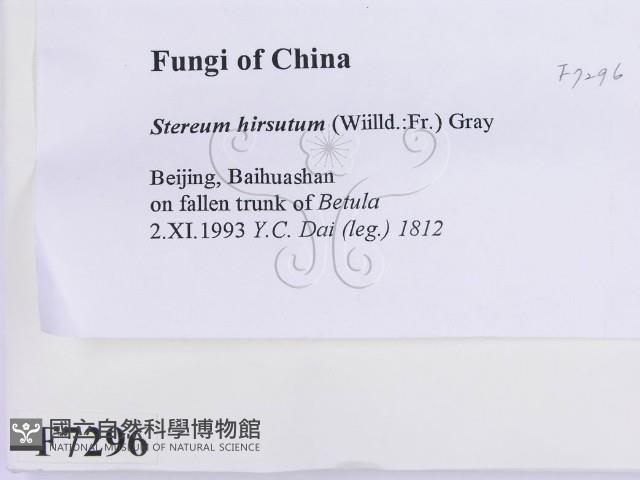 登錄號:F0007296藏品圖，第2張