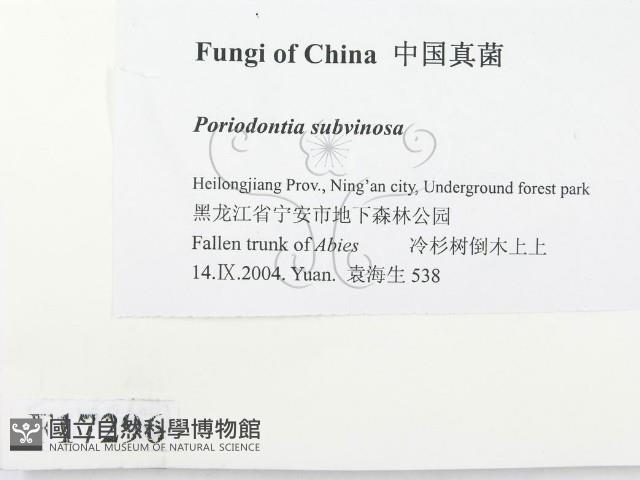 登錄號:F0017296藏品圖，第2張