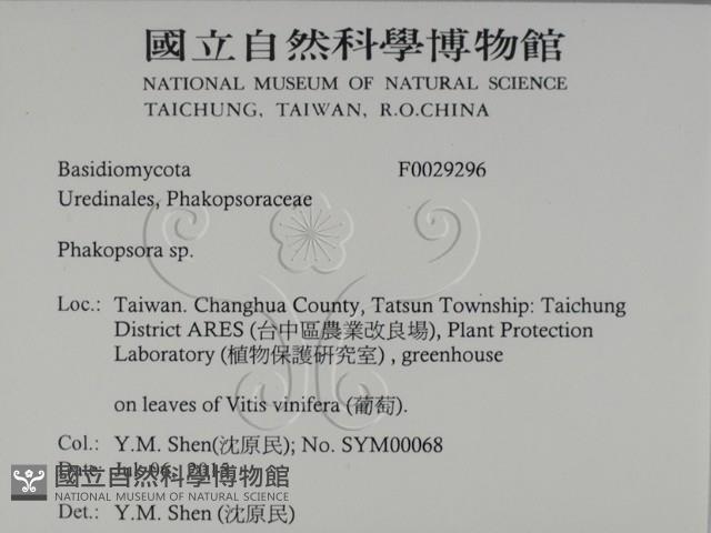 Accession Number:F0029296 Collection Image, Figure 2, Total 2 Figures