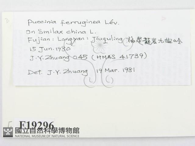 登錄號:F0019296藏品圖，第2張
