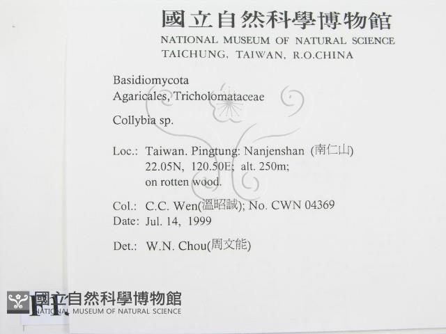 登錄號:F0013296藏品圖，第2張