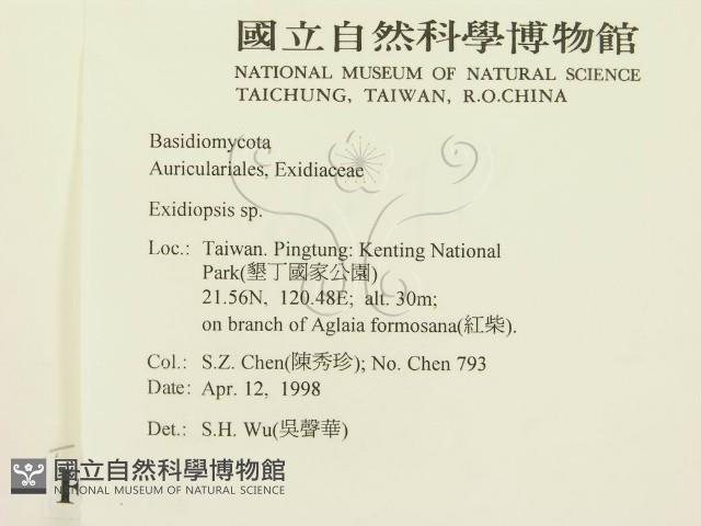 登錄號:F0008896藏品圖，第2張