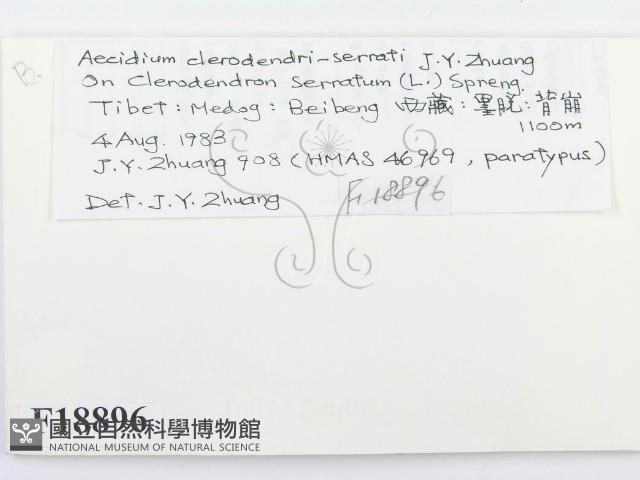 登錄號:F0018896藏品圖，第2張