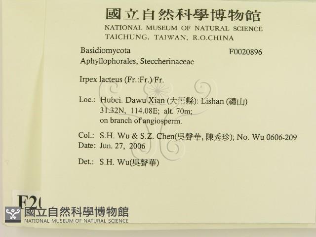 登錄號:F0020896藏品圖，第2張