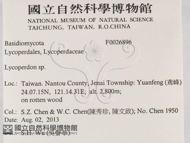 登錄號:F0026896藏品圖，第2張