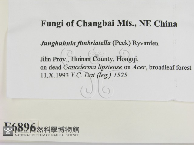 登錄號:F0006896藏品圖，第2張