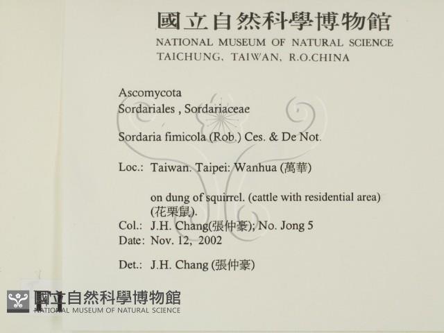 登錄號:F0016896藏品圖，第2張