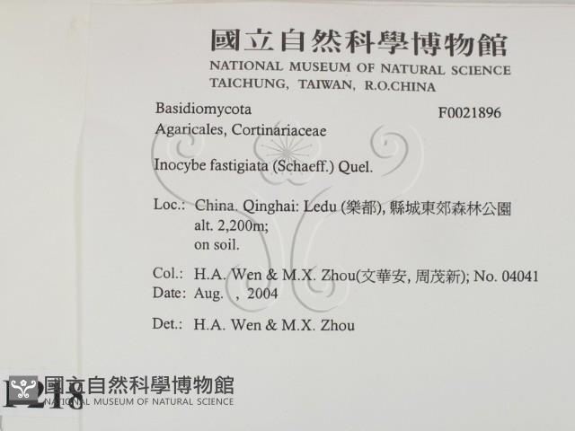 登錄號:F0021896藏品圖，第2張