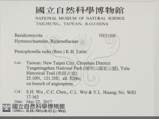 登錄號:F0031896藏品圖，第2張
