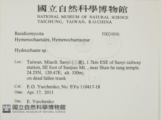 登錄號:F0024896藏品圖，第2張