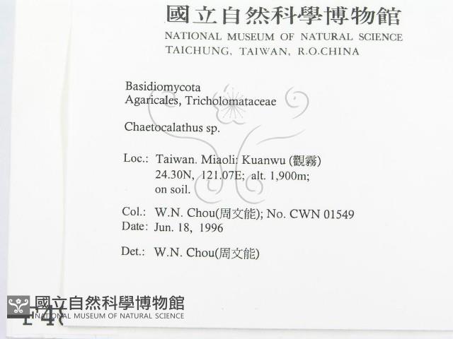 登錄號:F0004896藏品圖，第2張