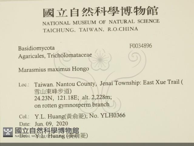 登錄號:F0034896藏品圖，第2張