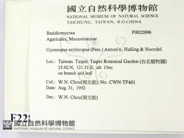 登錄號:F0022896藏品圖，第2張