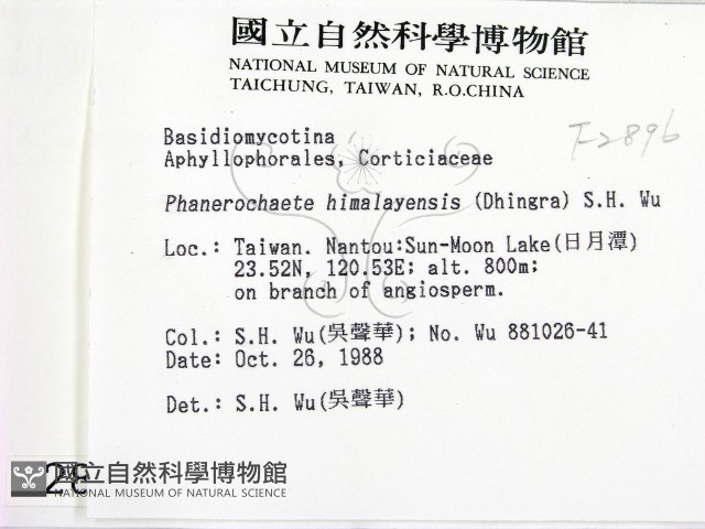 登錄號:F0002896藏品圖，第2張