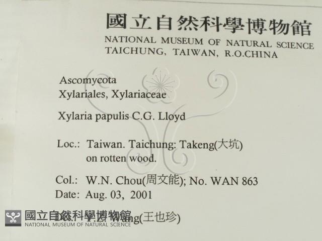 登錄號:F0012896藏品圖，第2張