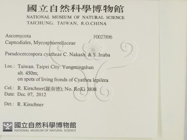 登錄號:F0027896藏品圖，第2張