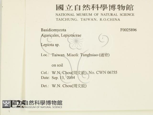登錄號:F0025896藏品圖，第2張
