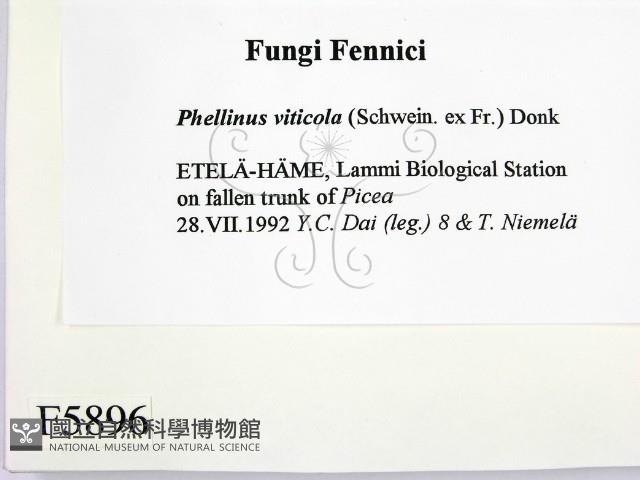 登錄號:F0005896藏品圖，第2張