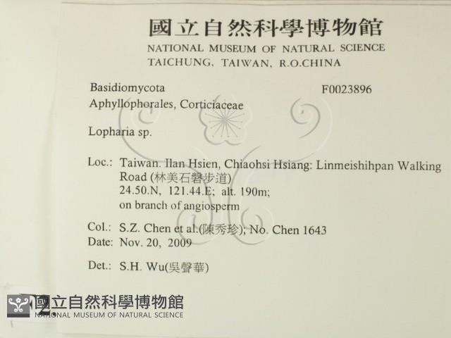 登錄號:F0023896藏品圖，第2張