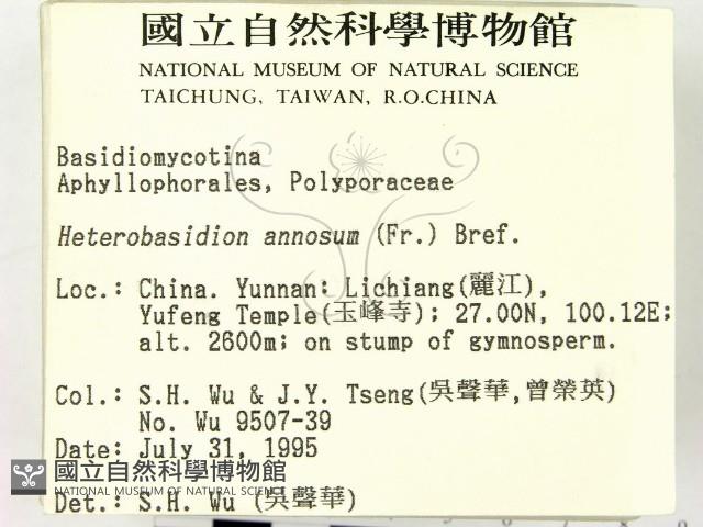 登錄號:F0003896藏品圖，第2張