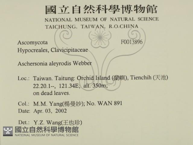 登錄號:F0013896藏品圖，第2張