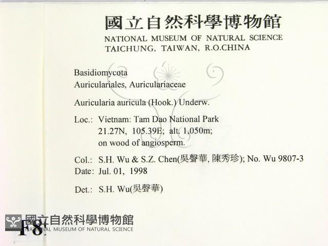 登錄號:F0008996藏品圖，第2張