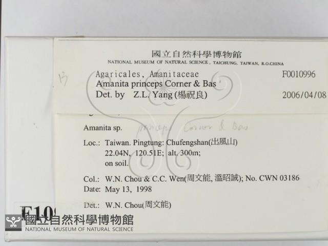 登錄號:F0010996藏品圖，第2張