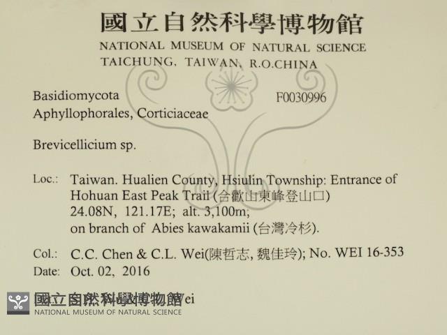 登錄號:F0030996藏品圖，第2張