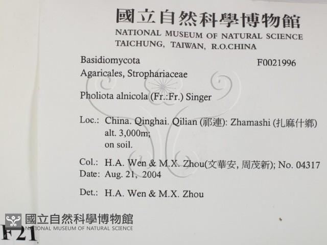 登錄號:F0021996藏品圖，第2張